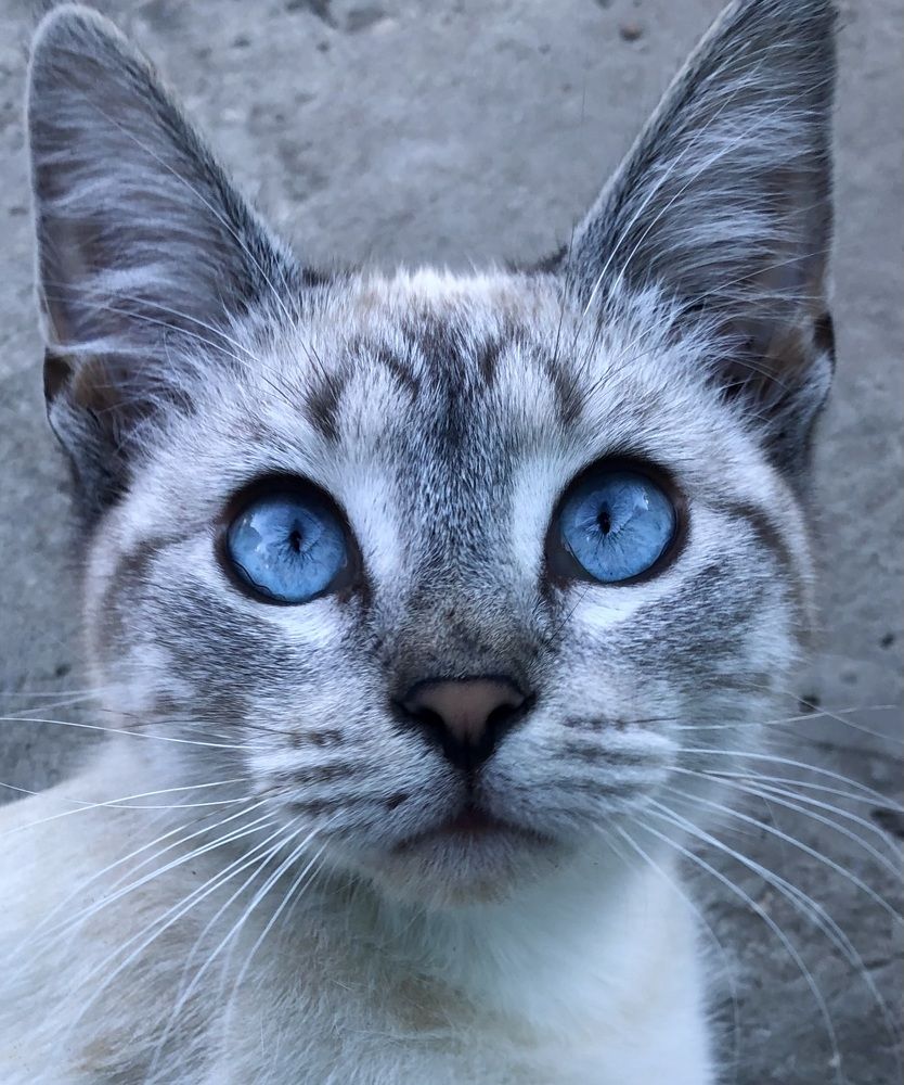 Photograph by Арина Бурда