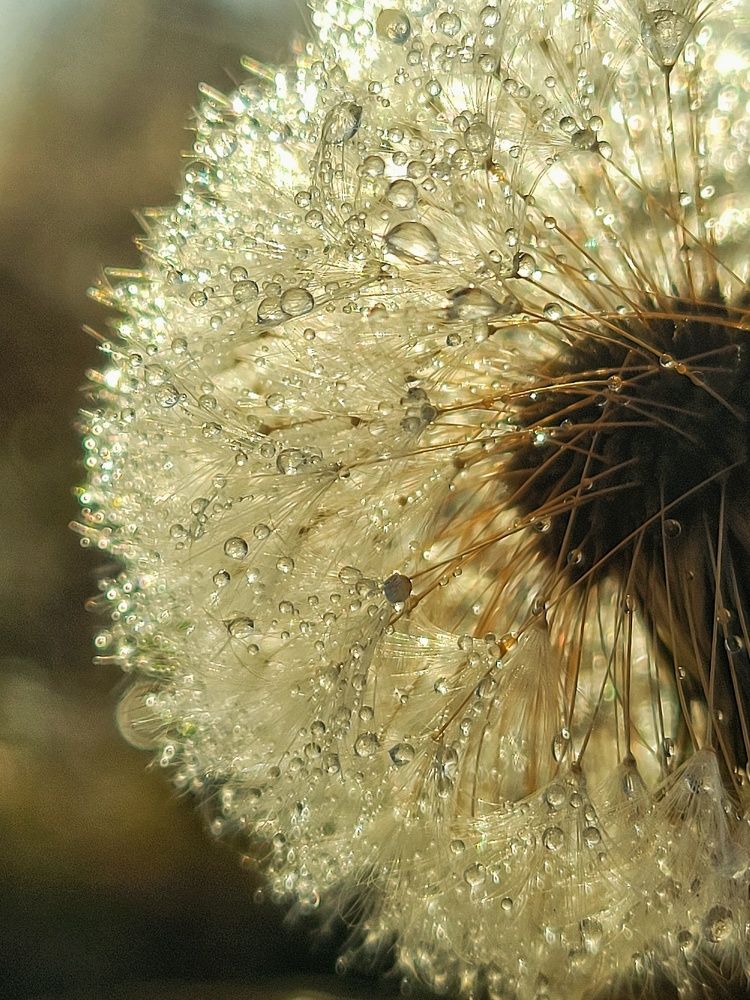 Photograph by Алина