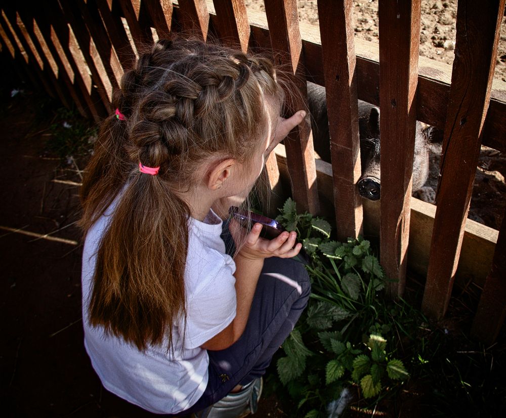 Фотография автора Елена Лаврова