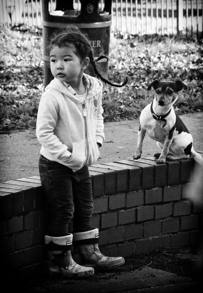 Фотография автора Елена Лаврова