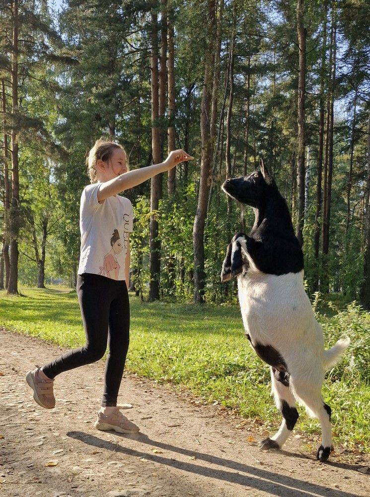 Photograph by Екатерина