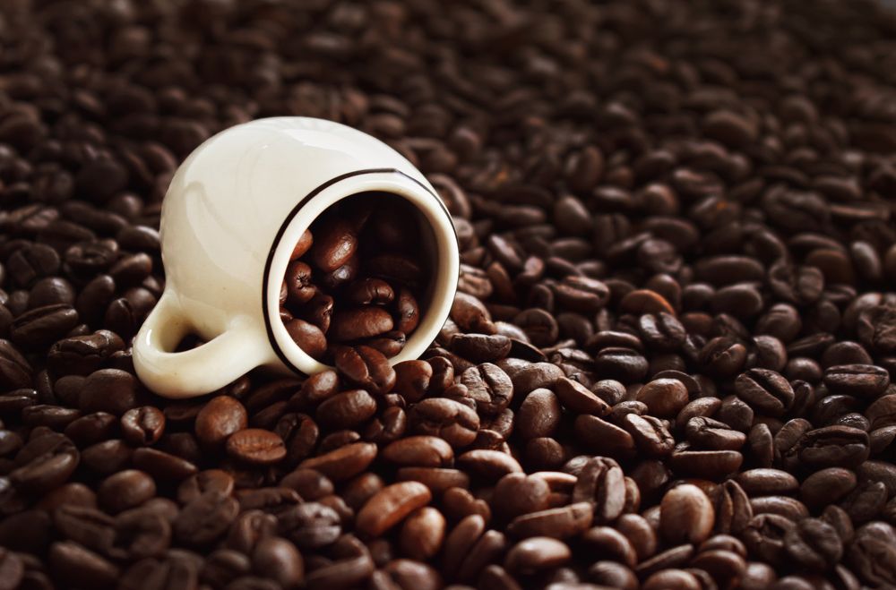 Photograph by Aušrinė Bui