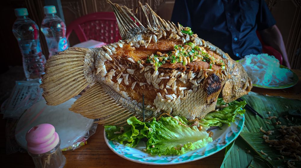 Фотография автора ChonTin NeCoTi