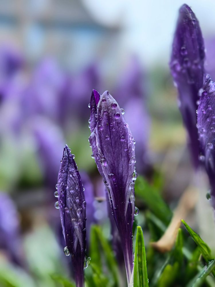 Photograph by Наташа Черепенина