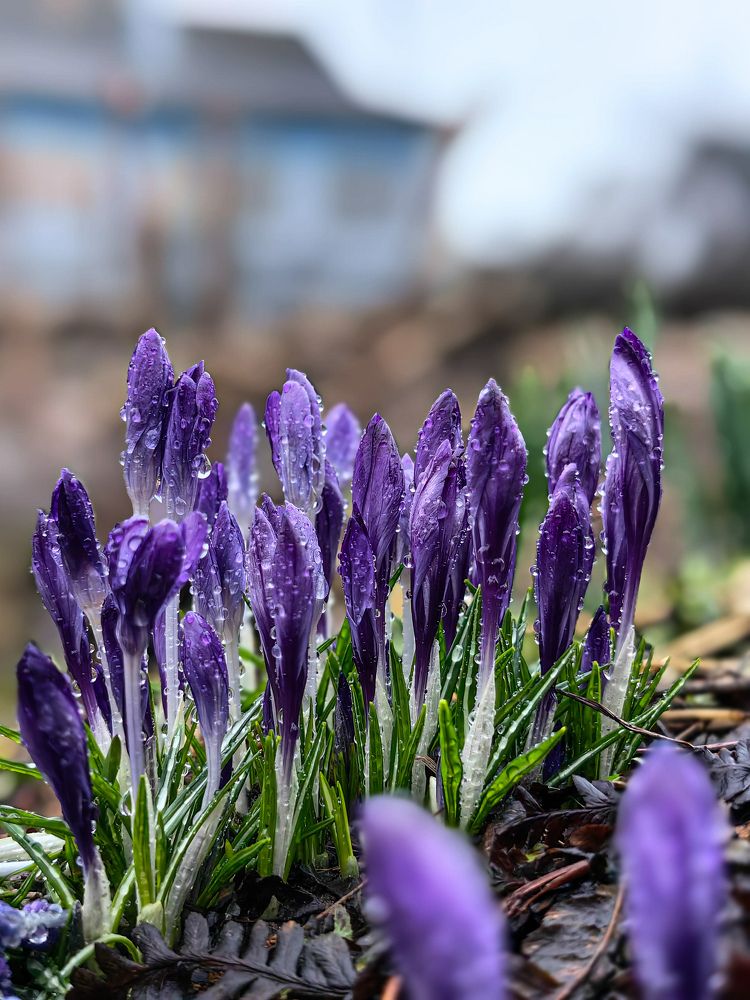 Photograph by Наташа Черепенина