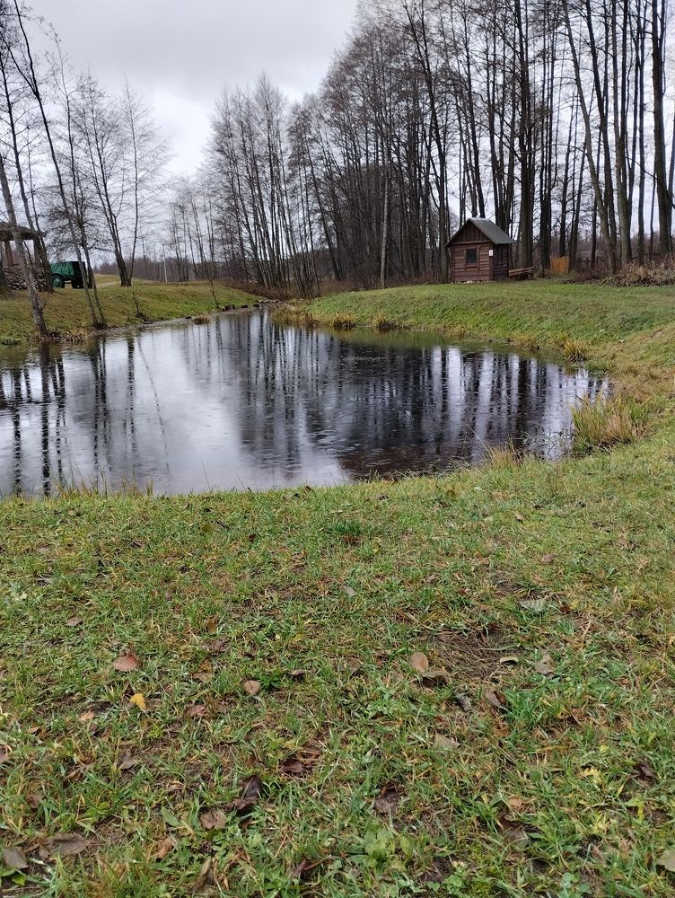 Фотография автора Наталья Изотова