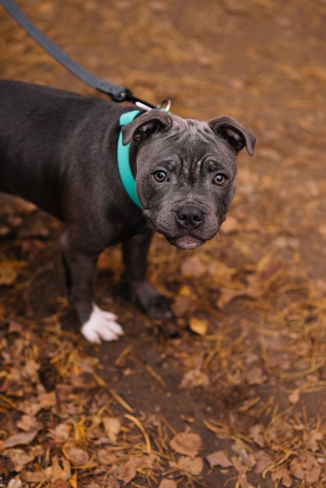 Фотография автора Анна Рыкова