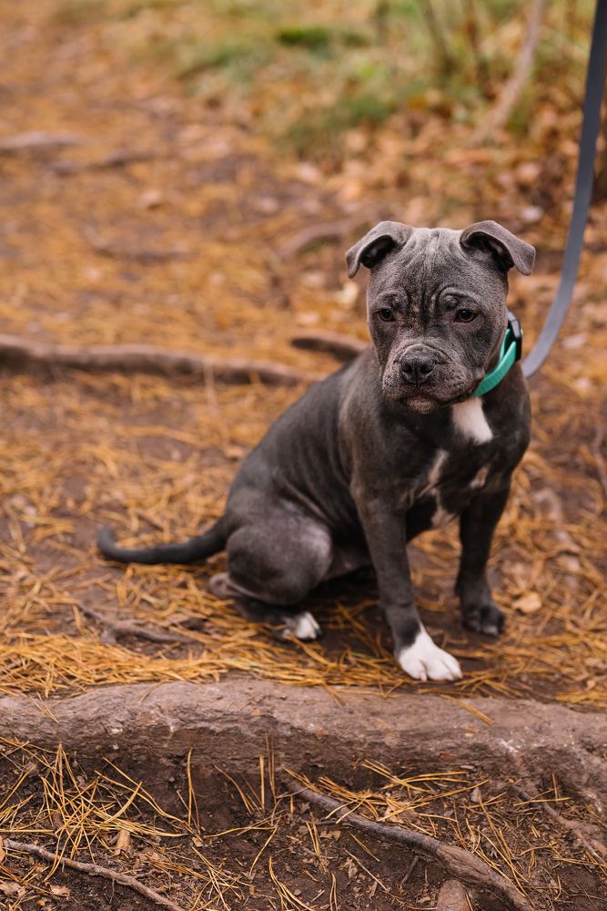 Фотография автора Анна Рыкова