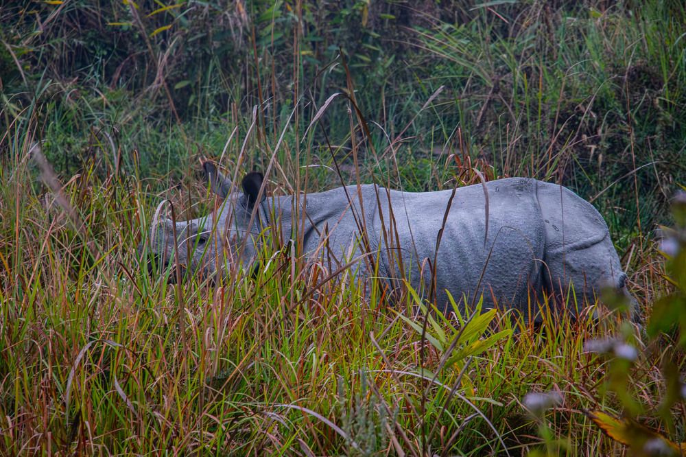 Photograph by Susobhan Biswas