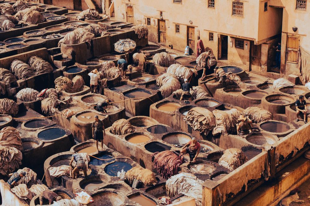 Photograph by esti lahat