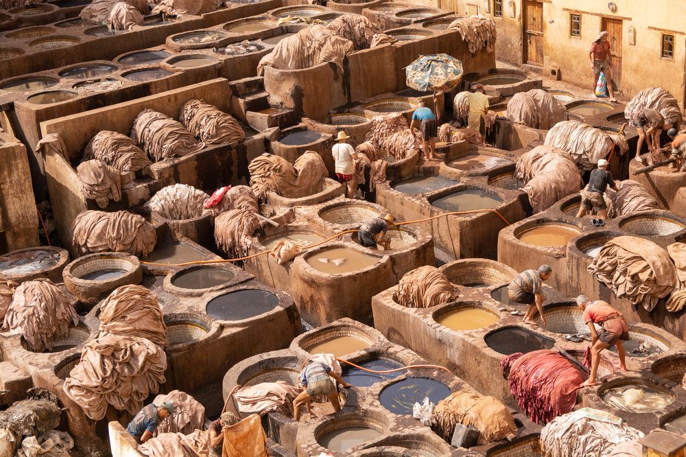 Photograph by esti lahat