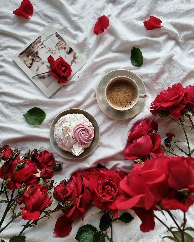 Photograph by Гельфман Галина