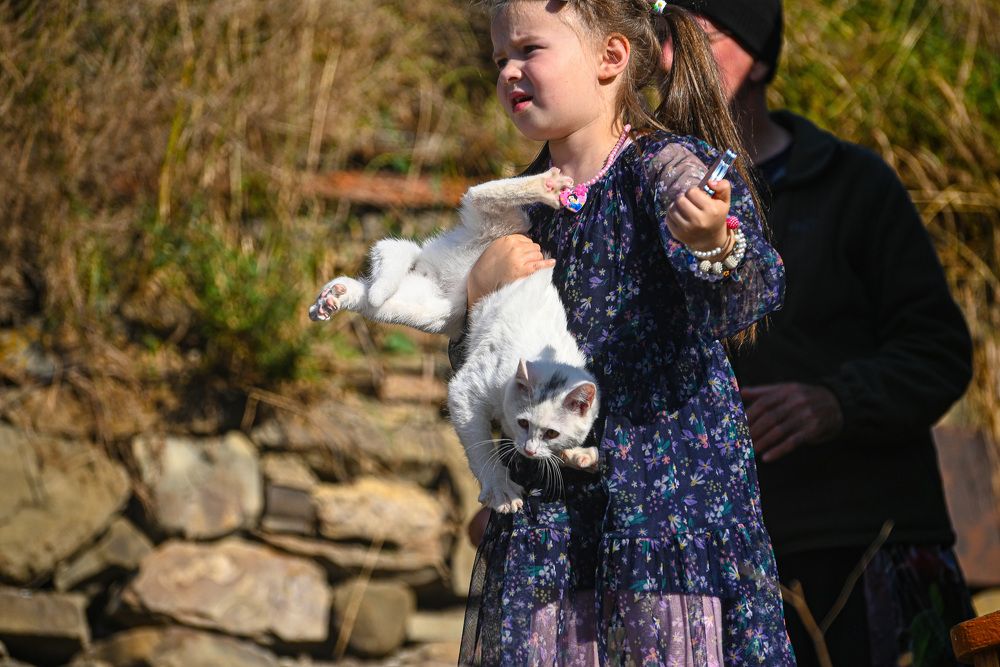 Photograph by Инна Гаджиева