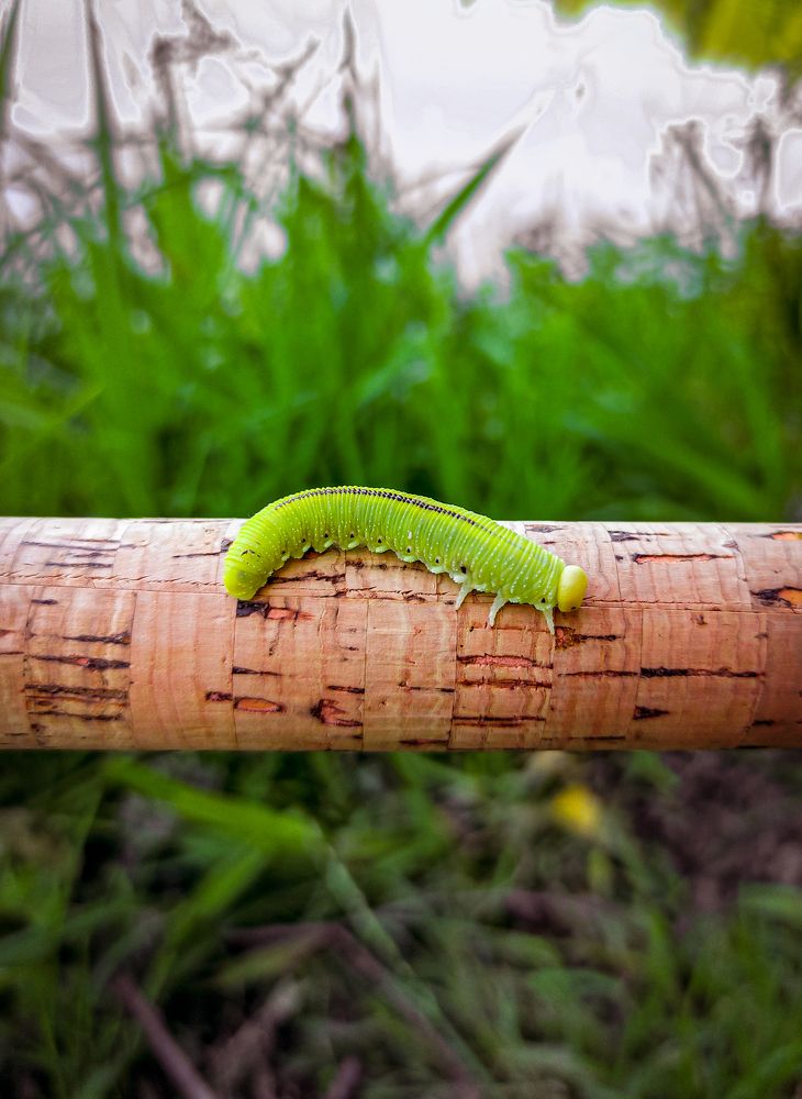 Фотография автора Александр Хухлов