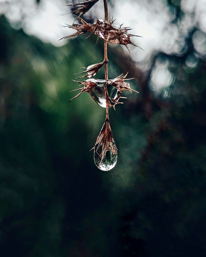 Photograph by Aaron R S