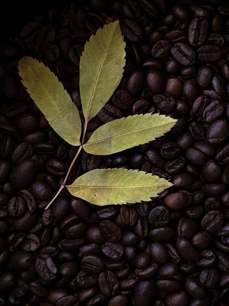 Photograph by Юлия