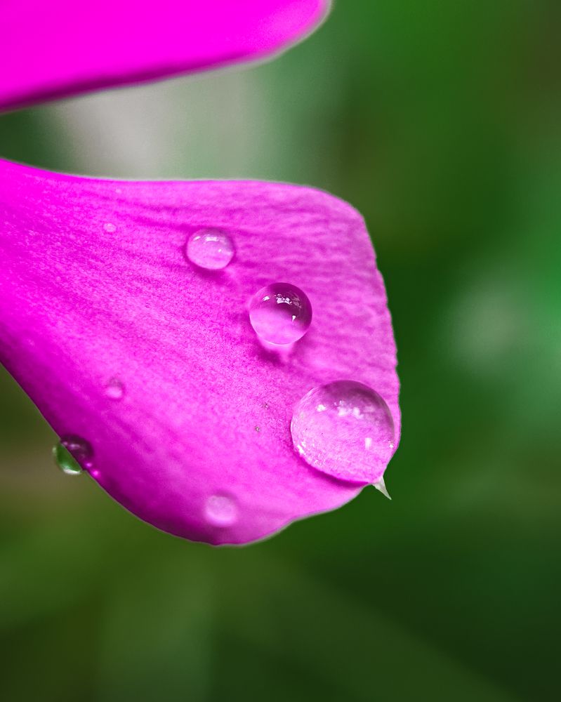 Photograph by Aaron R S