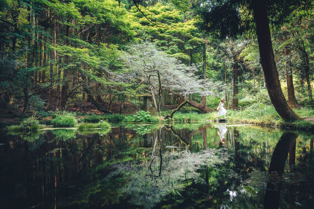 Photograph by Yok Hua Tee