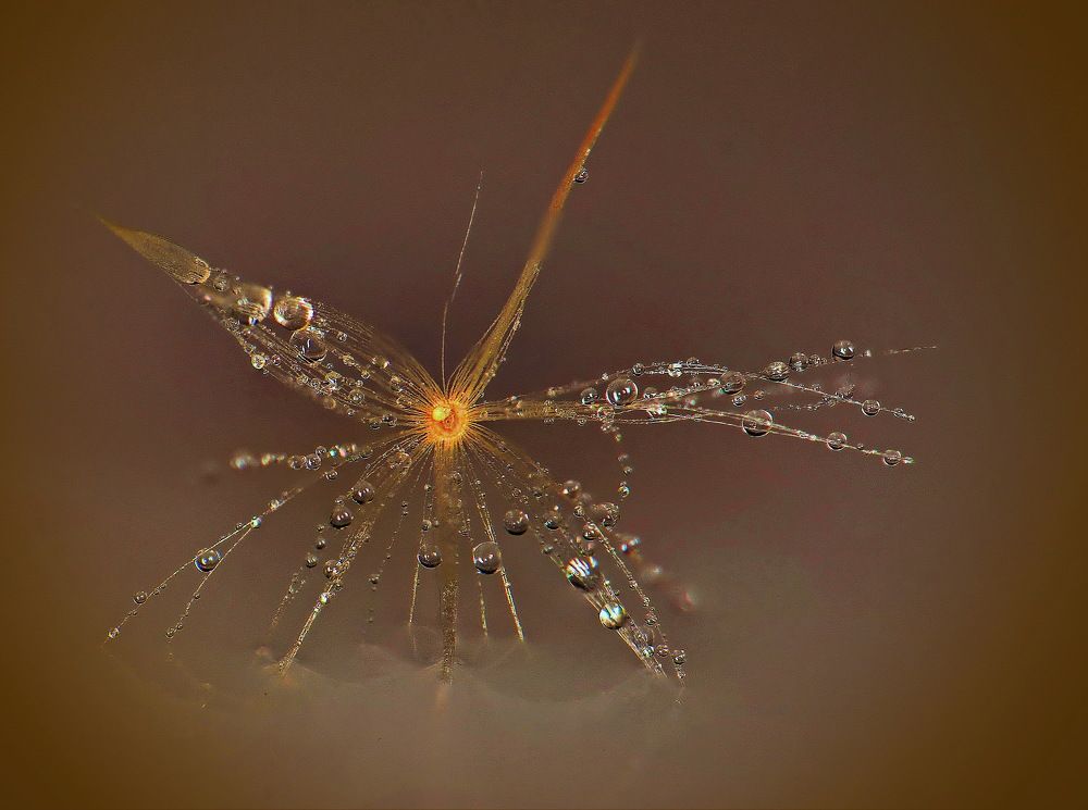 Макрокосмос