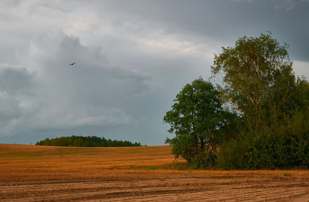 Фотография автора Евгений Трофимов