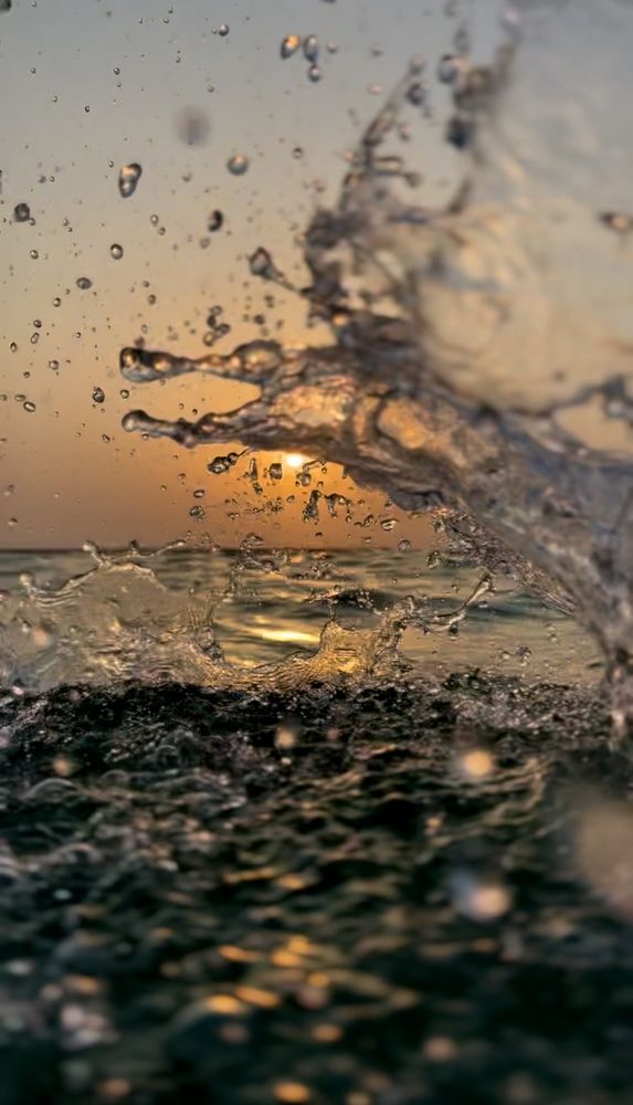 Фотография автора Sarrah Yehia