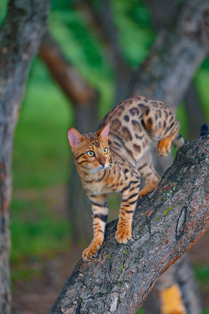 Photograph by Инна Гаджиева