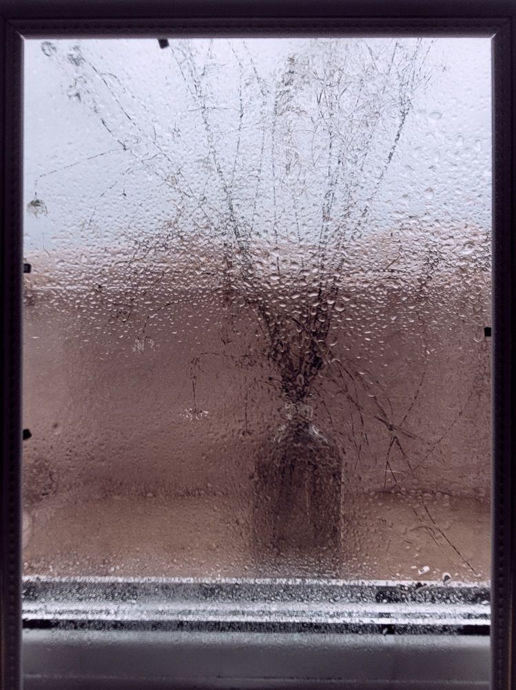 Фотография автора Казакова Людмила Ивановна