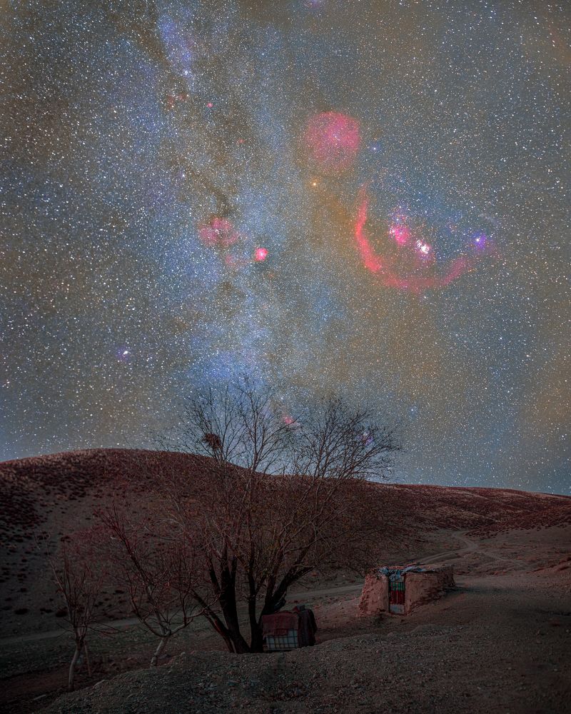 Photograph by Mohsen Sadeghi