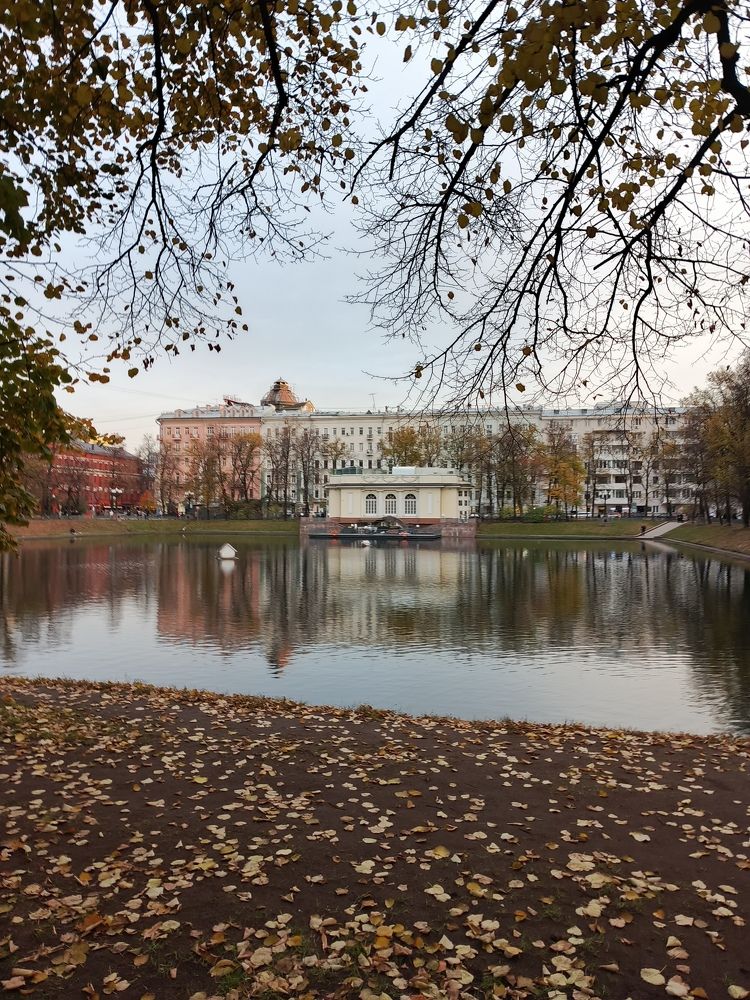 Photo #11466085