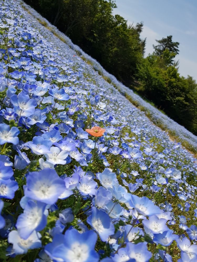 Photograph by Smahane Drissi