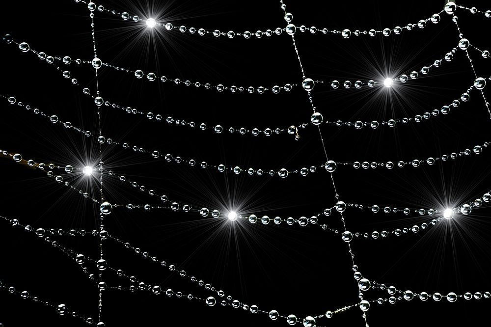 Photograph by ChonTin NeCoTi