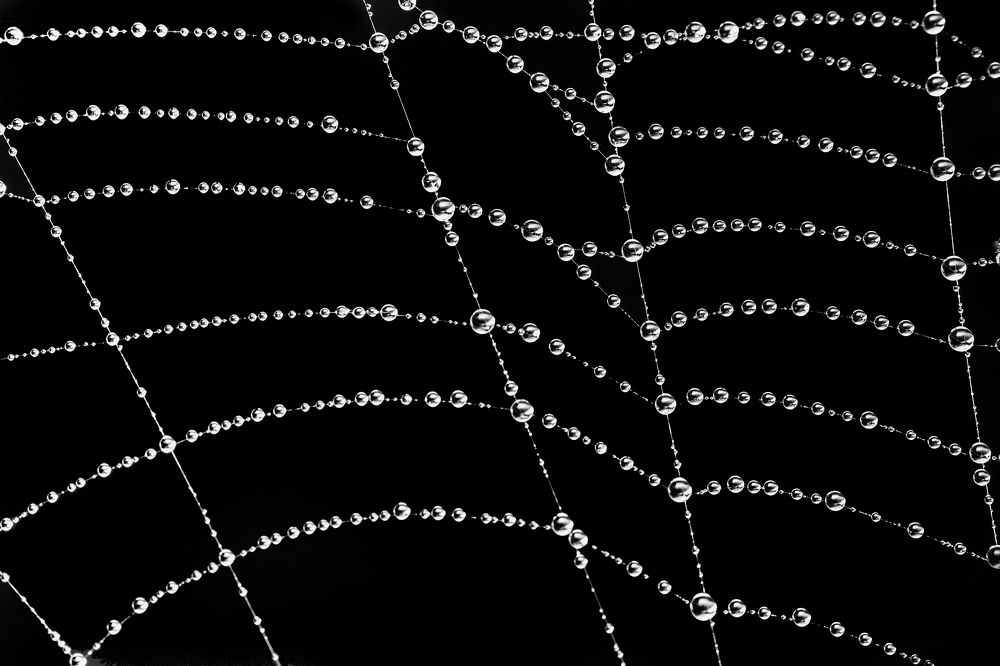 Фотография автора ChonTin NeCoTi