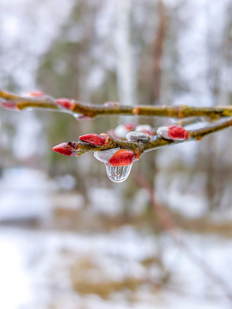 Photograph by Александр Хухлов
