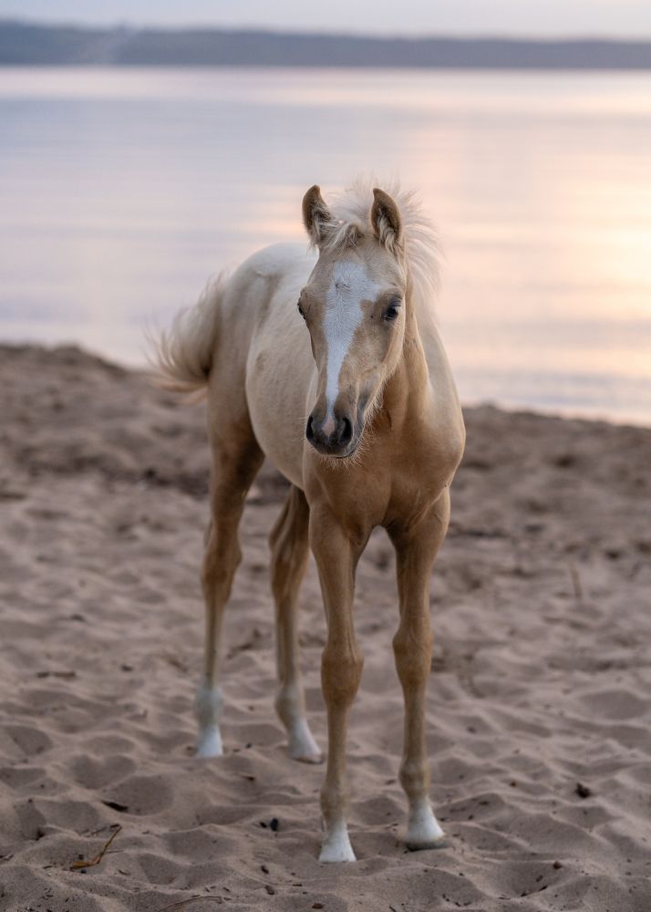 Фотография автора Наталья Максимова