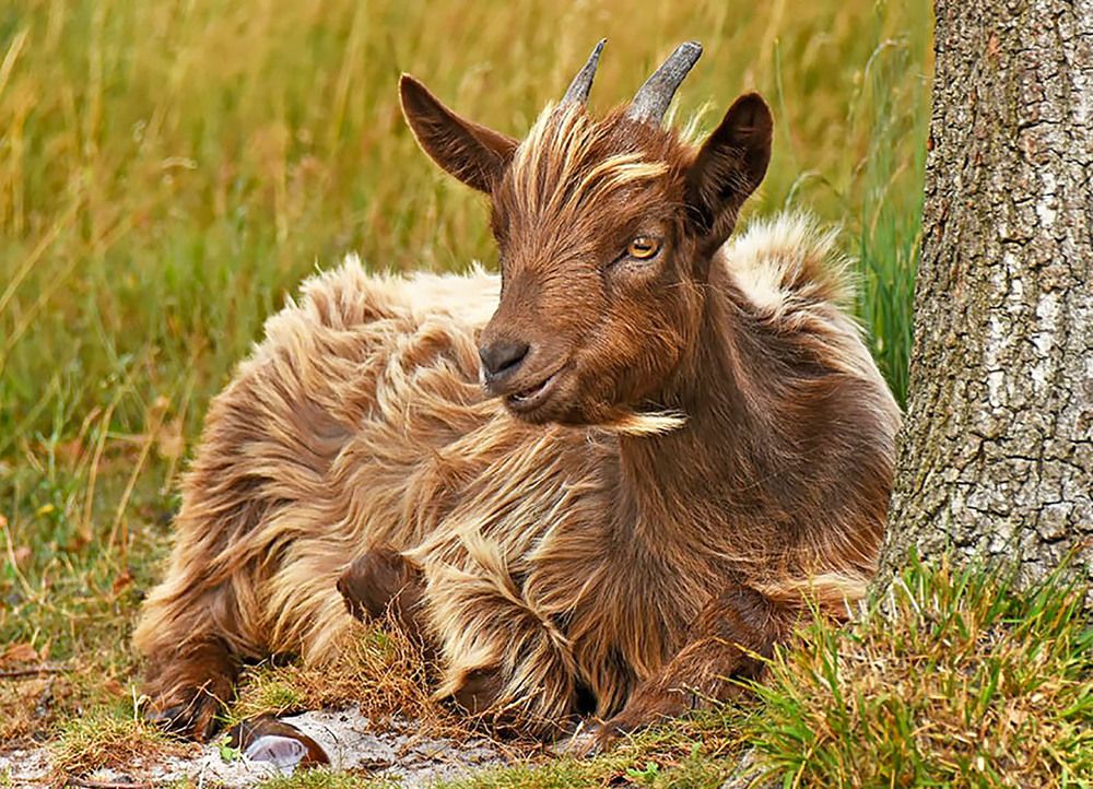 Photograph by Marjo Steffen