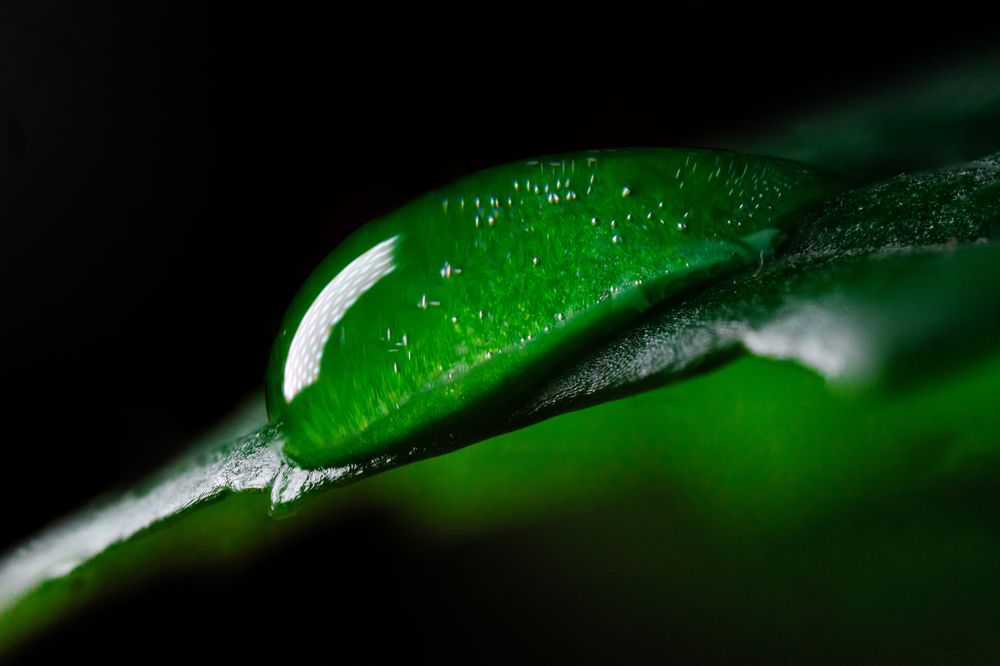 Photograph by Едынак Евгений