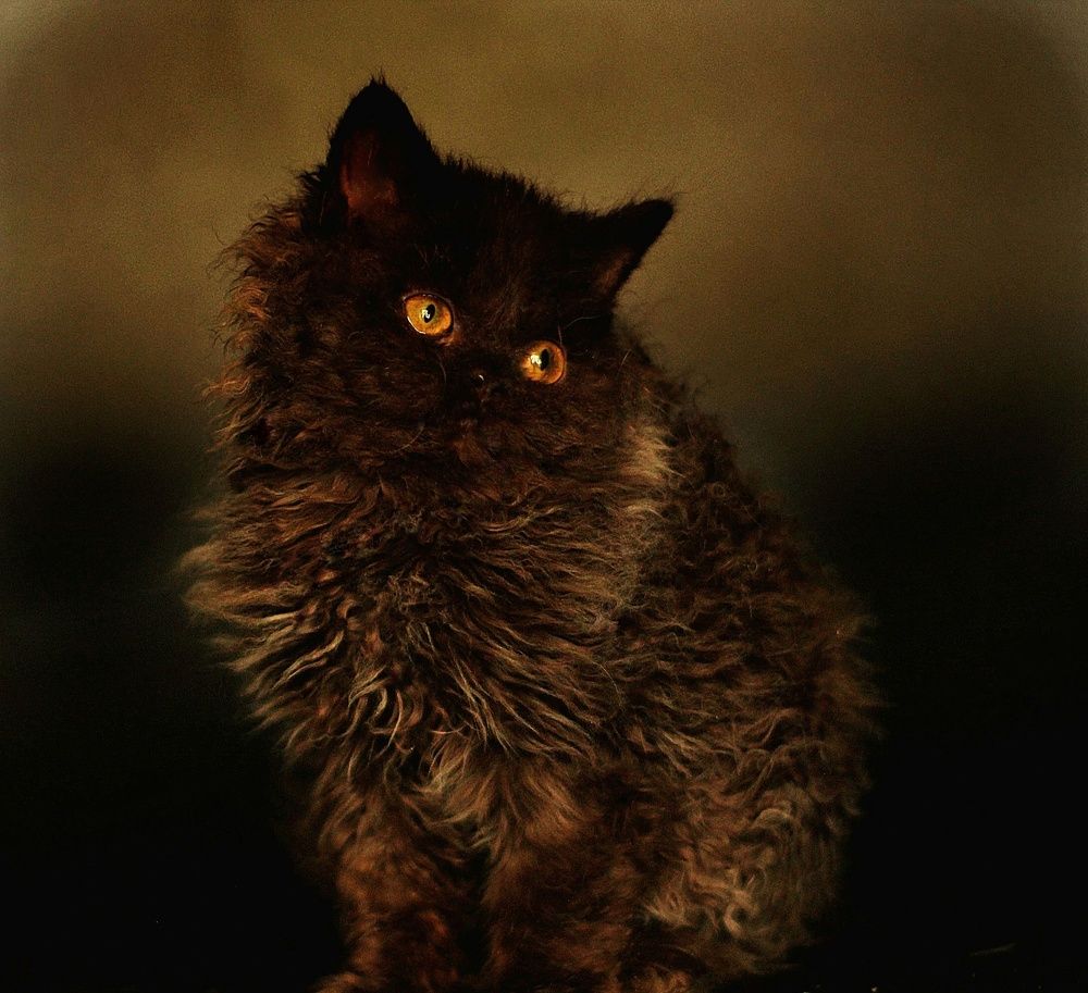 Photograph by Оксана Шарагина