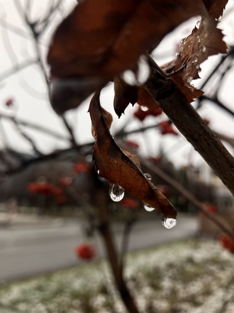 Photograph by Мария Карпычева