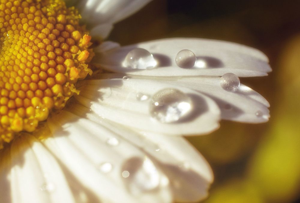 Photograph by Юлия Лушникова