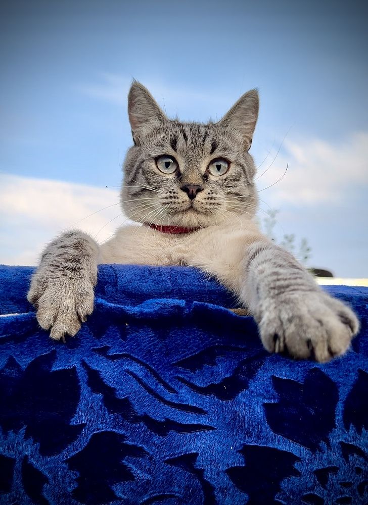 Photograph by Арина Бурда