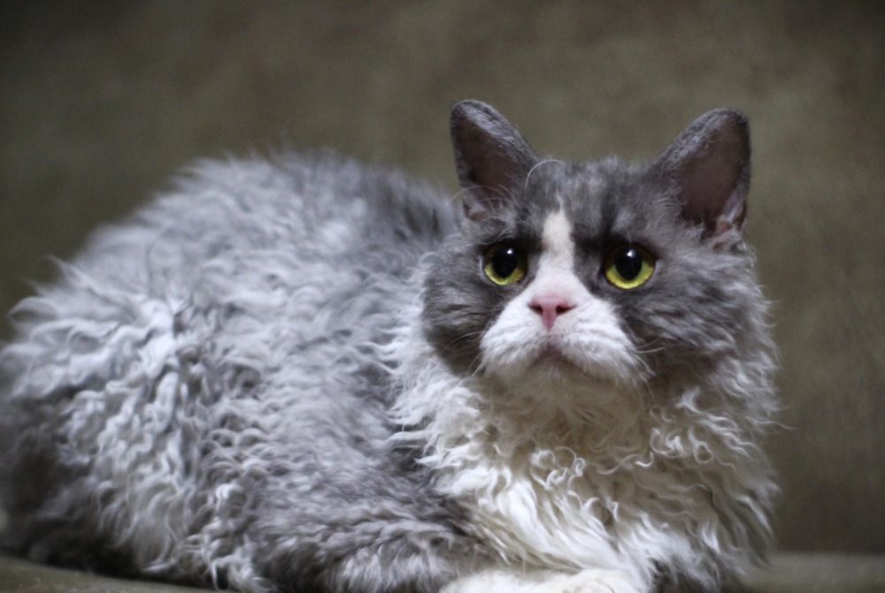 Photograph by Оксана Шарагина