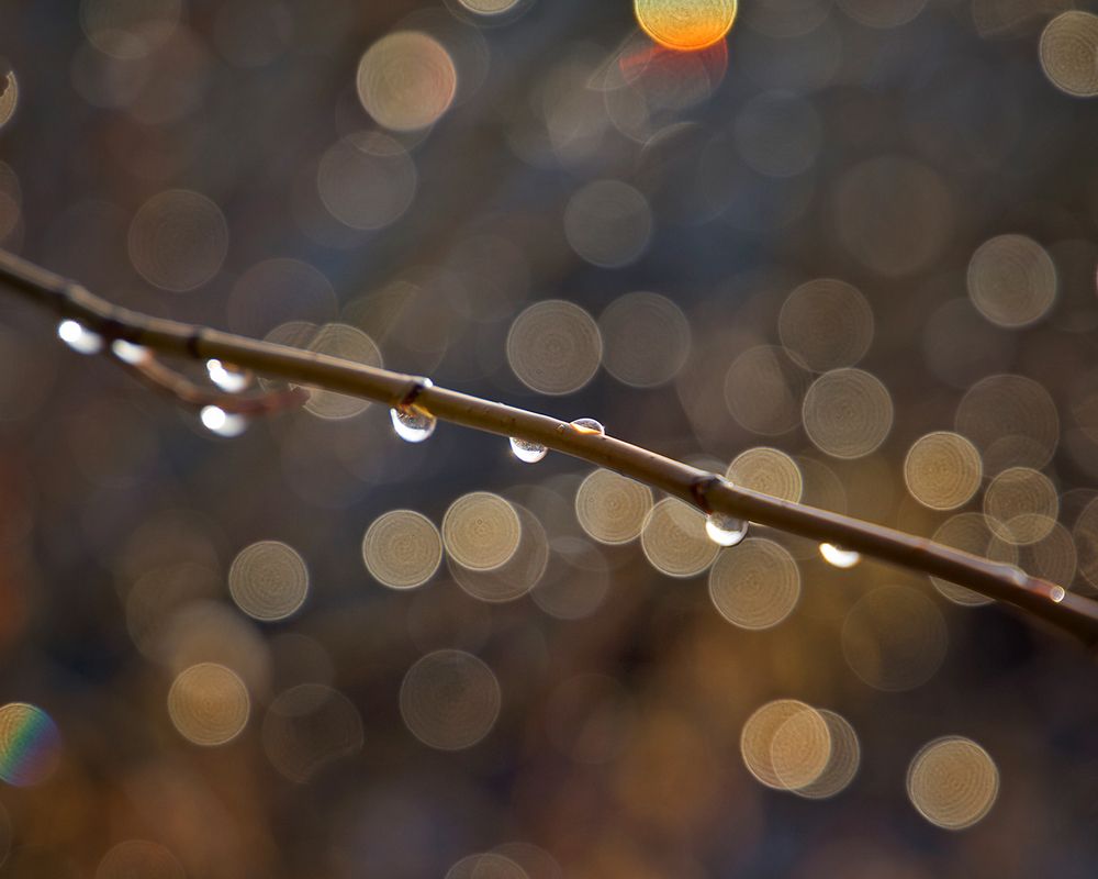 Фотография автора Aleksei Kartashov