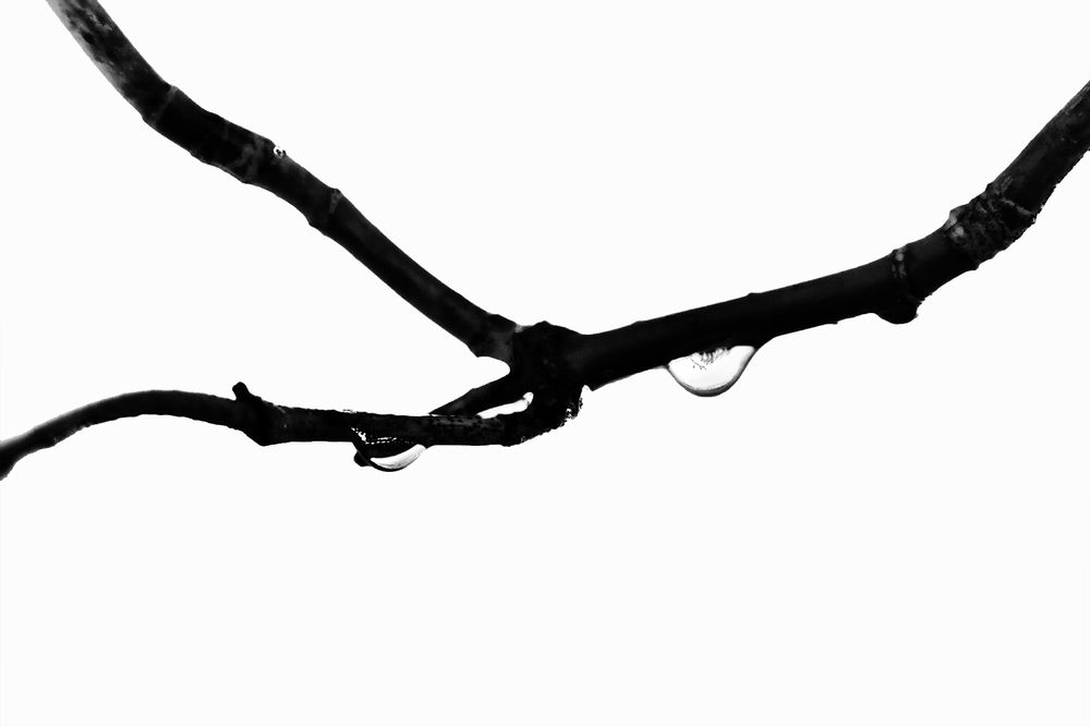 Фотография автора Aleksei Kartashov