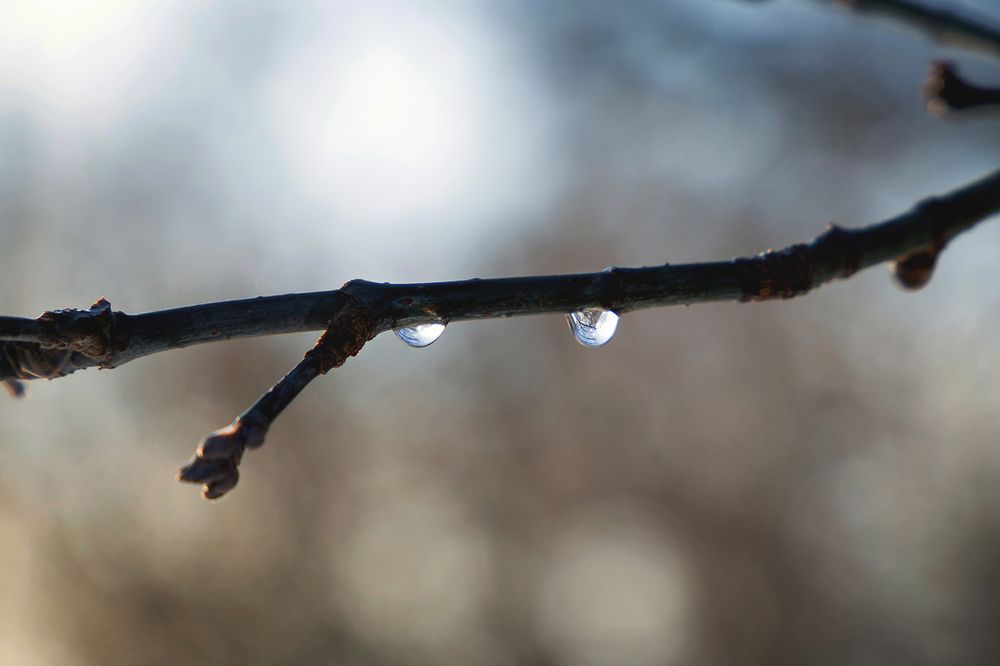 Фотография автора Aleksei Kartashov