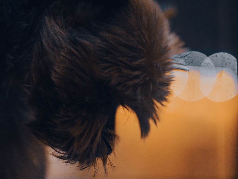 Photograph by Григорий Шишонков