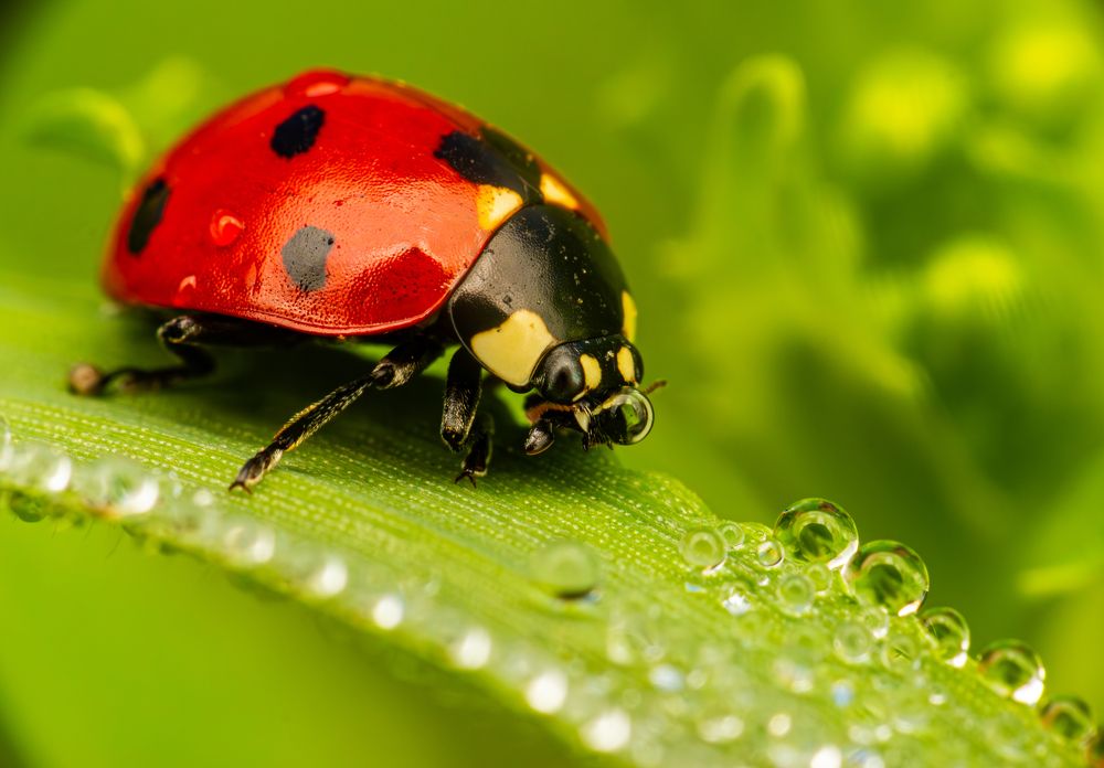 Photograph by Алексей