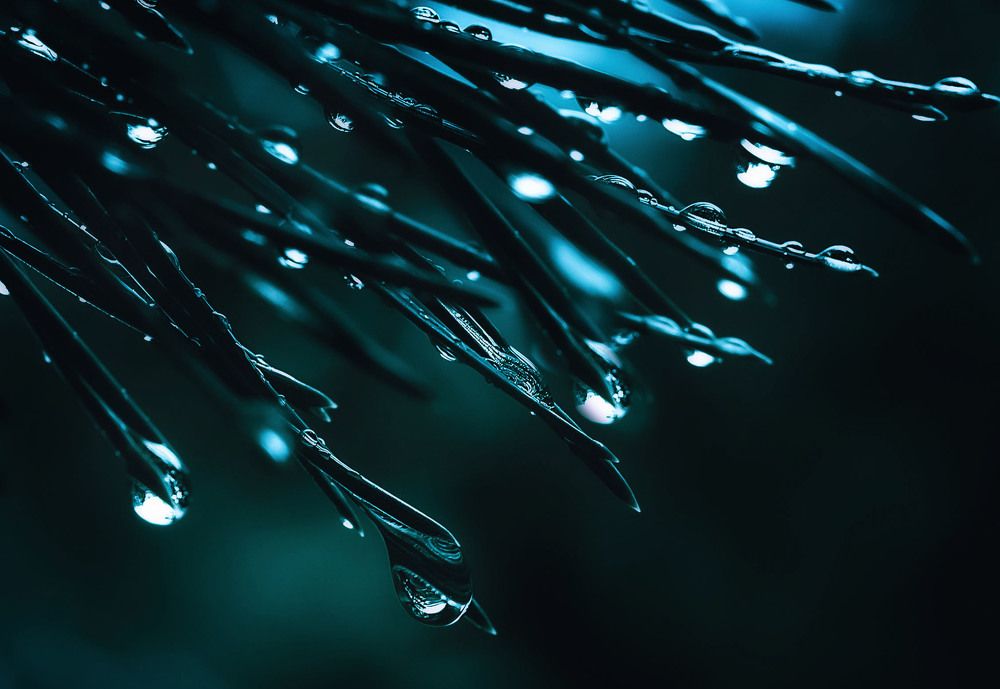 Photograph by Юлия Лушникова