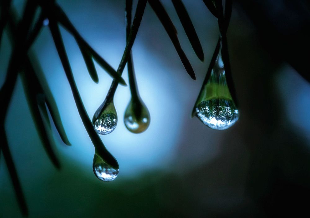 Photograph by Юлия Лушникова