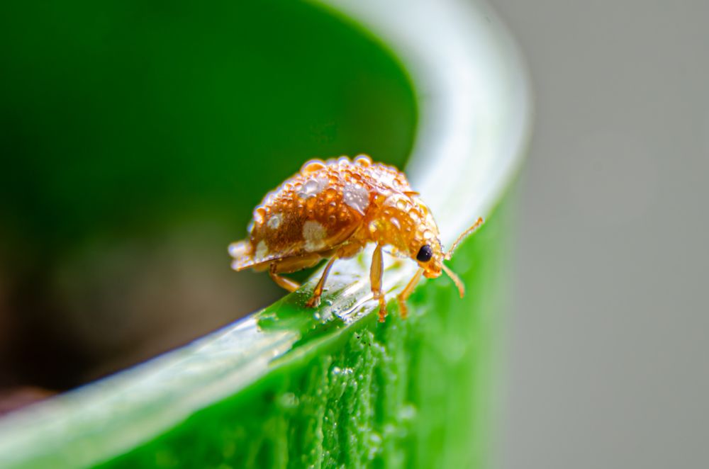 Photograph by Oksana Kuzmina