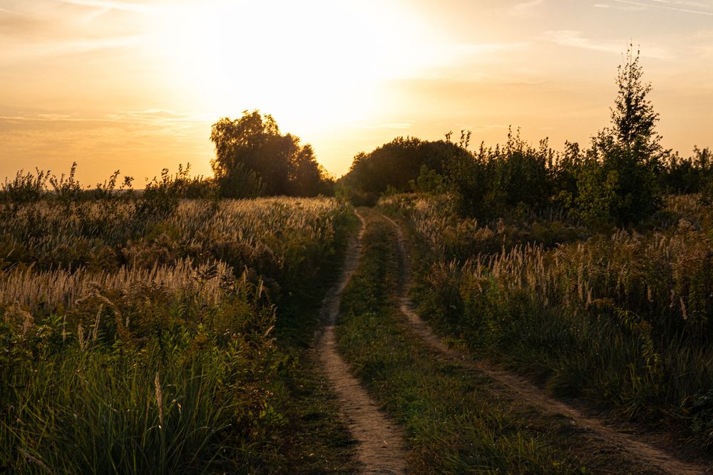 Фотография автора Ирина Гриценко
